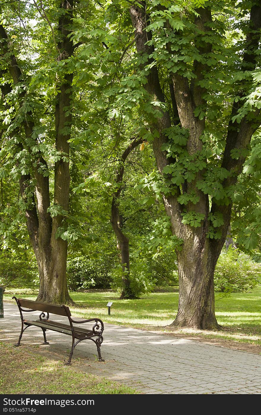 The lantern in the park