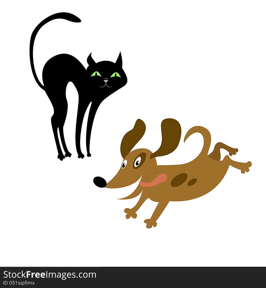 Cat and dog