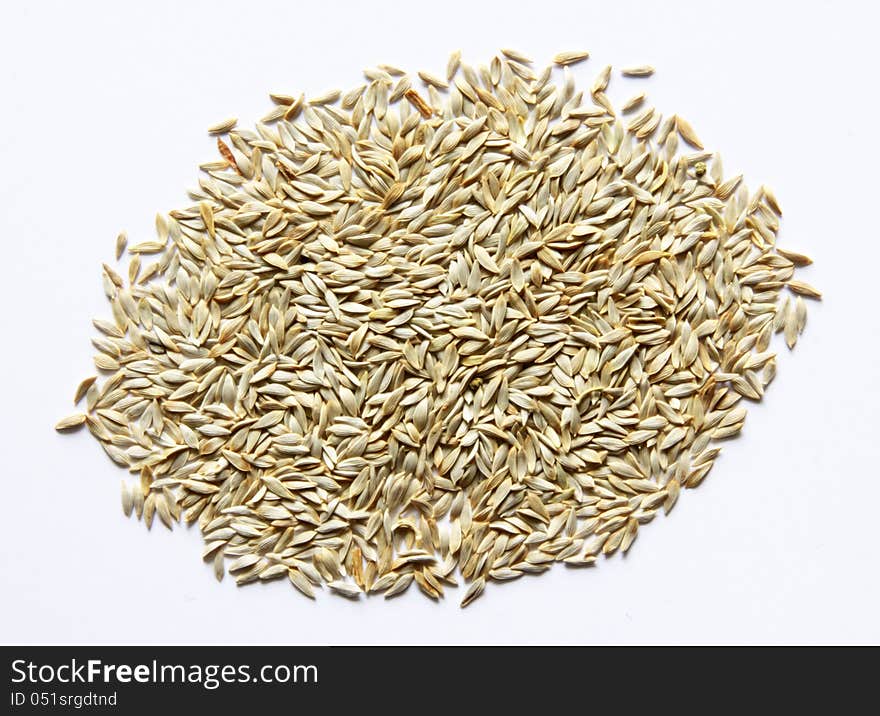 Sald lettuce seeds on the white background. Sald lettuce seeds on the white background