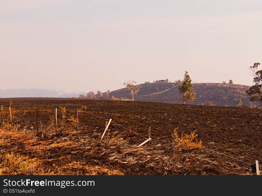 Bush Fire Tasmania