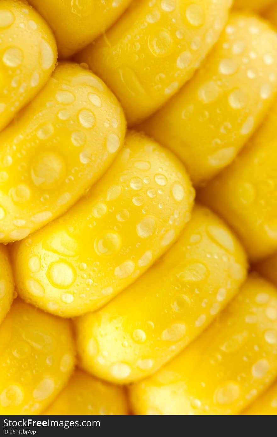 Grains of Ripe Corn with Water Droplets / diagonal / Extreme Macro / Yellow background