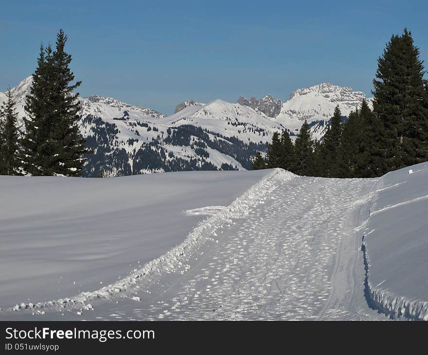 Winter Scenery In Gstaad