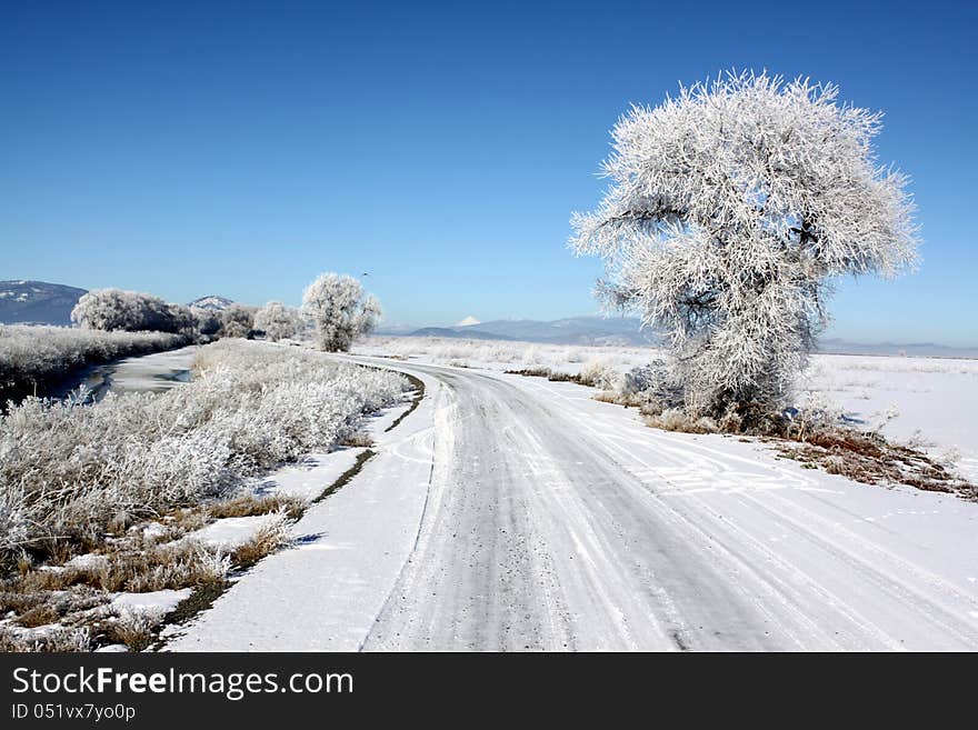 Country Road and Winter Frost