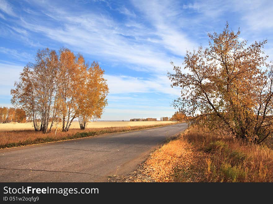 Road to the fields. Autumn landscape