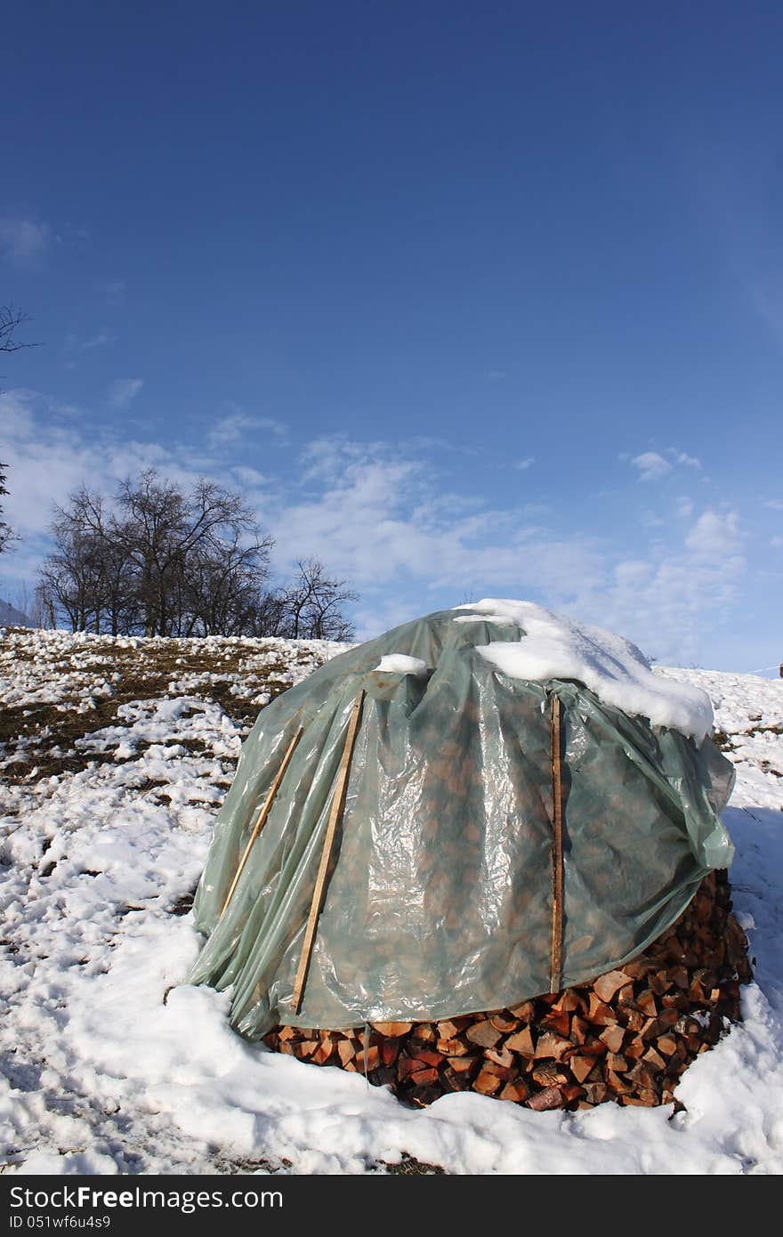 Cut timber covered with a plastic sheet