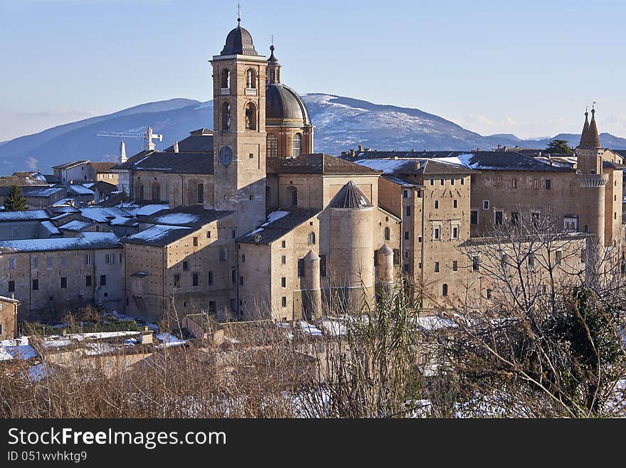 Urbino