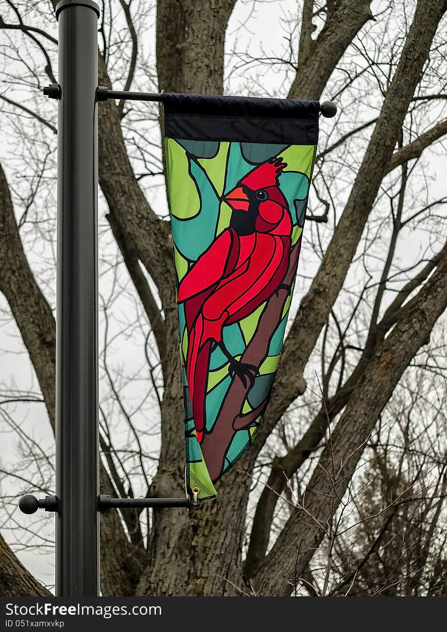 Flag of a Cardinal on a city lampost