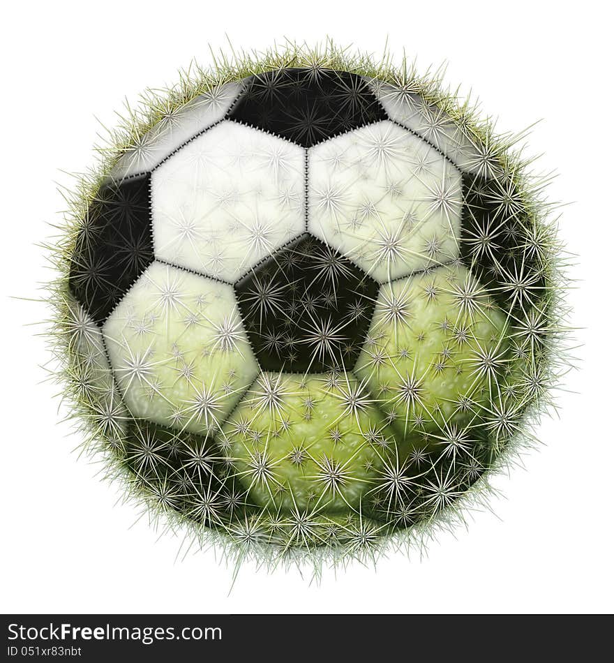 Cactus Soccer Ball