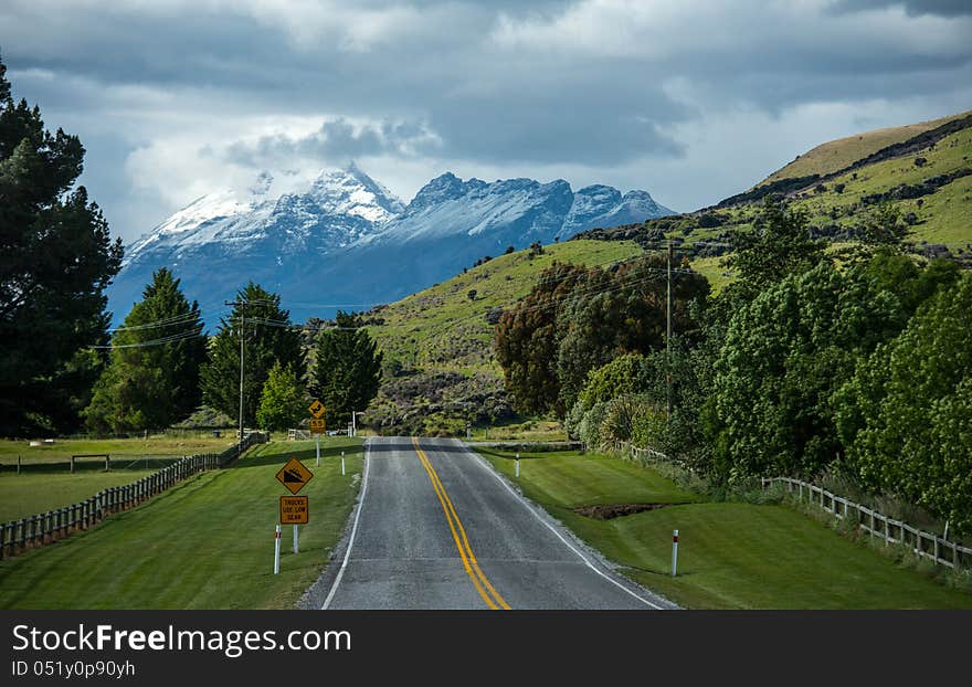 Along The Road In South Island New Zealand.