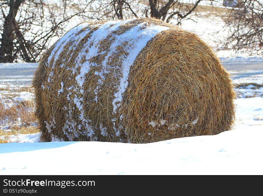 Single hay bale sits in the snow. Single hay bale sits in the snow.
