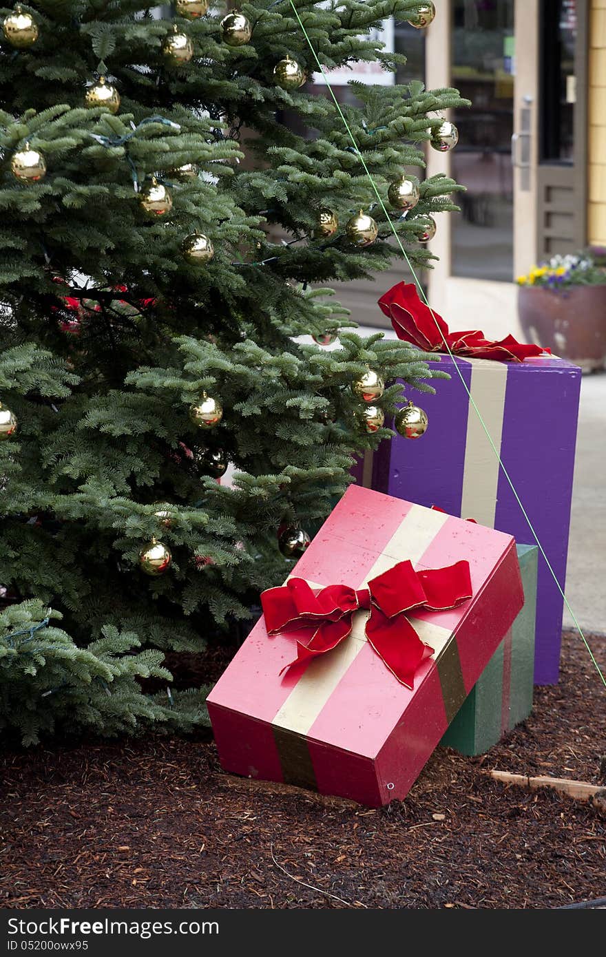 Outdoor Christmas Tree and Presents