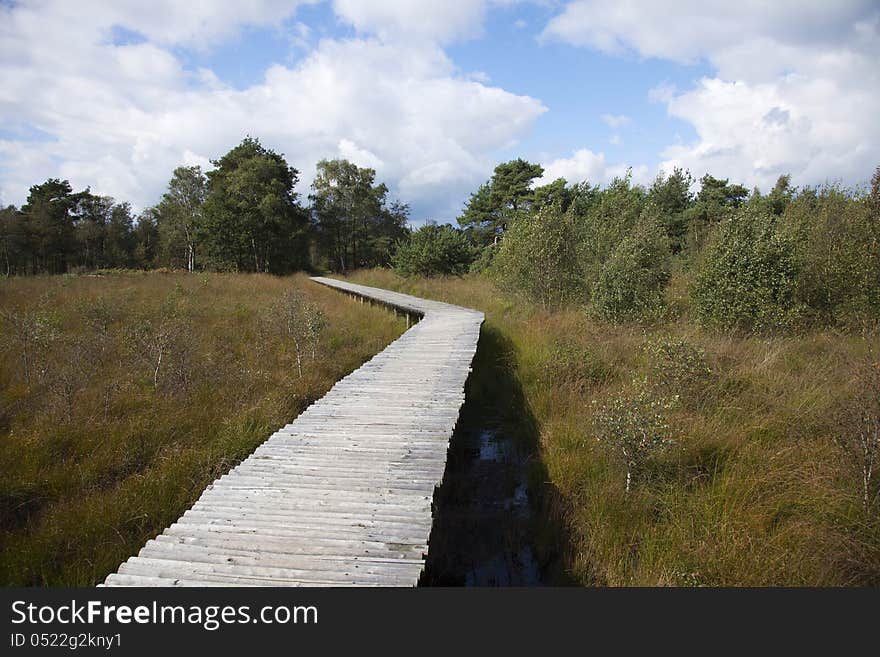 Bridge of many wooden poles on the marshland. Bridge of many wooden poles on the marshland