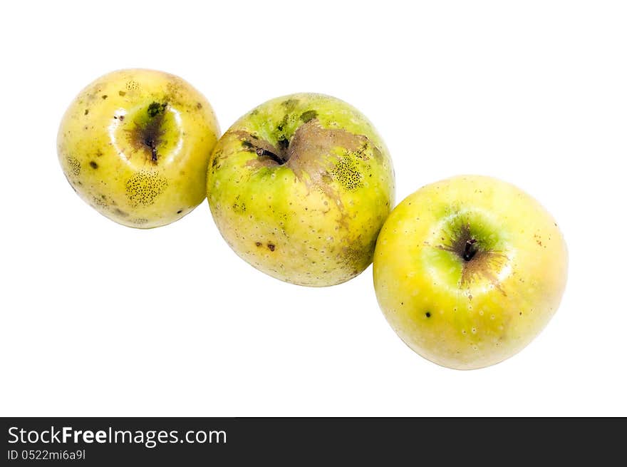 Three yellow organic apples on a white background