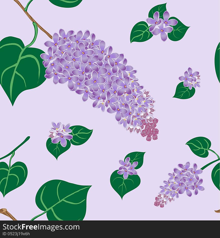 Lilac bush