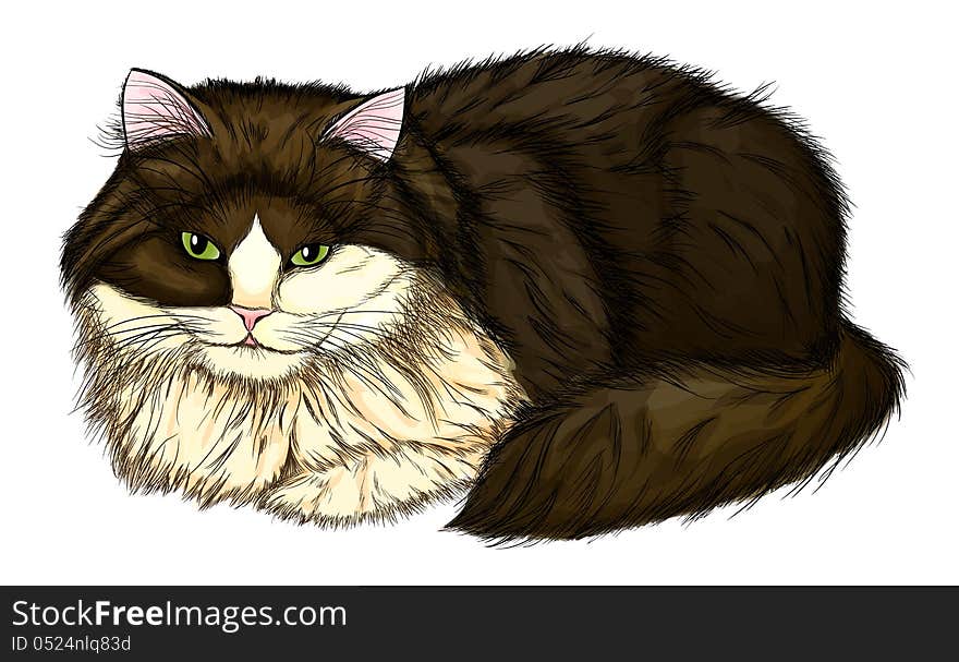 Beautiful, large and fluffy cat. Painted in a realistic style that imitates watercolor