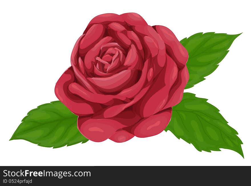 Beautiful Pink Rose With Leaves Isolated On White Background, Imitation Of Watercolors