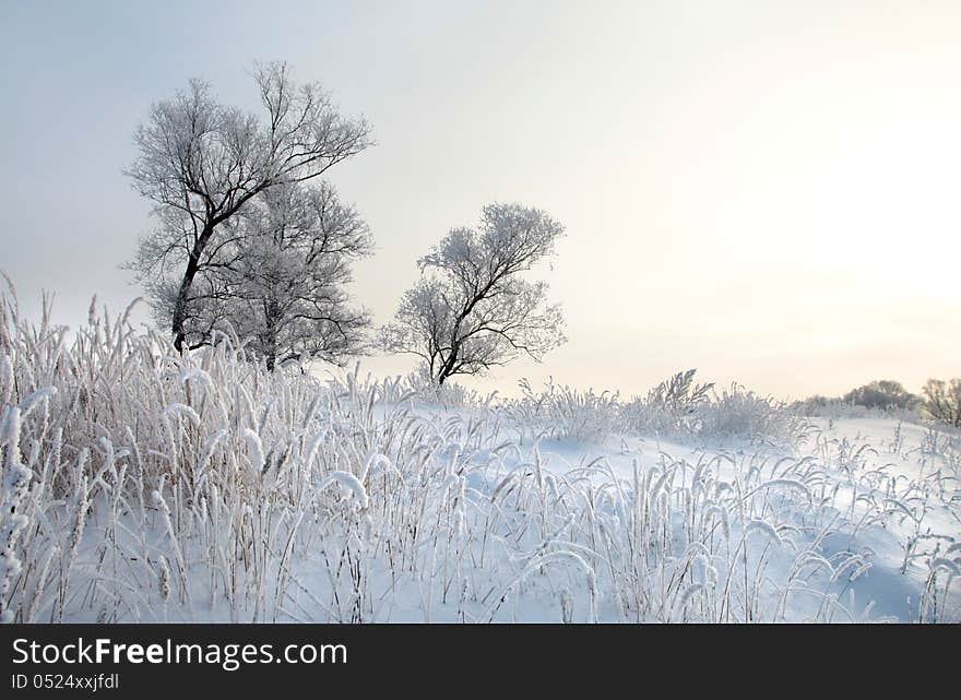 Winter day