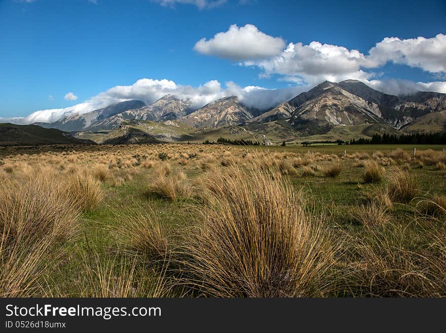 Fields and blue sky in summer of New Zealand. Fields and blue sky in summer of New Zealand.