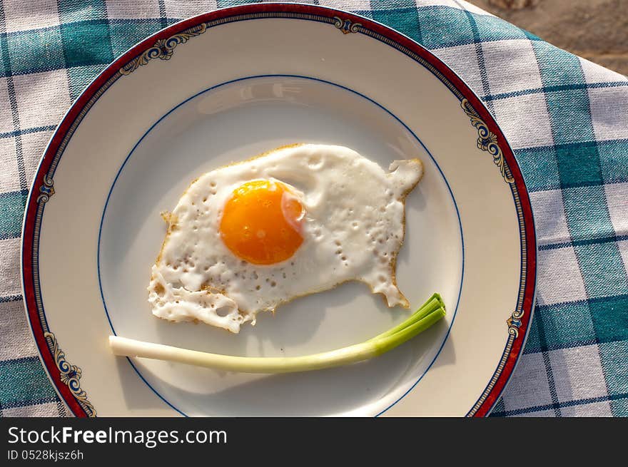 Fried egg and  onion stalk in a plate. Fried egg and  onion stalk in a plate