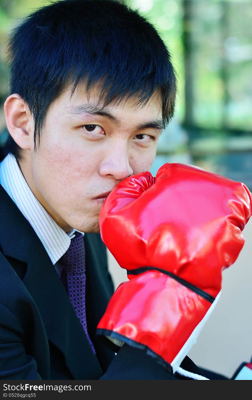 Close up businessman and hand boxing glove ready to fight. Close up businessman and hand boxing glove ready to fight.