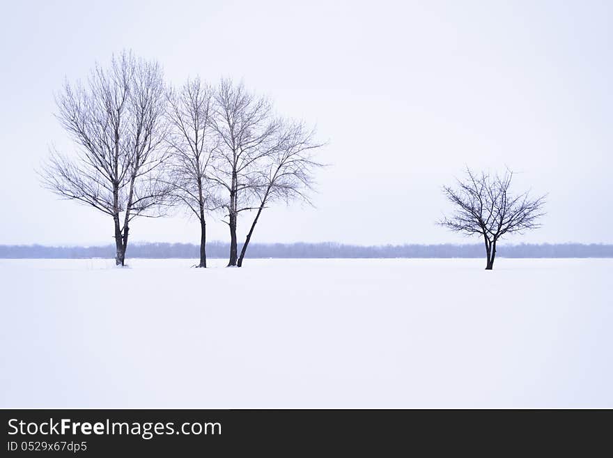 Winter landscape with lonely trees in mist