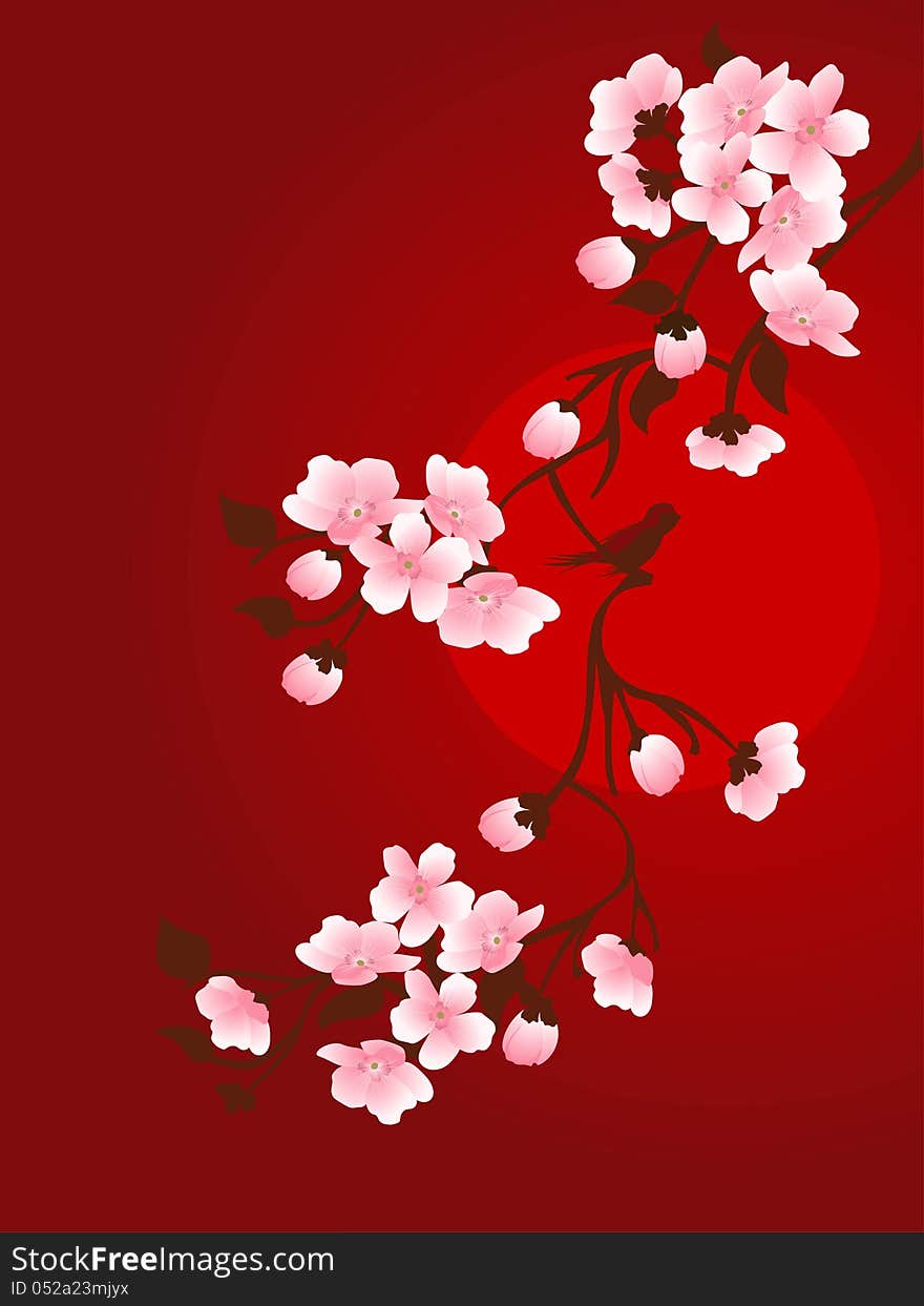 Branch of cherry and sun on a red background