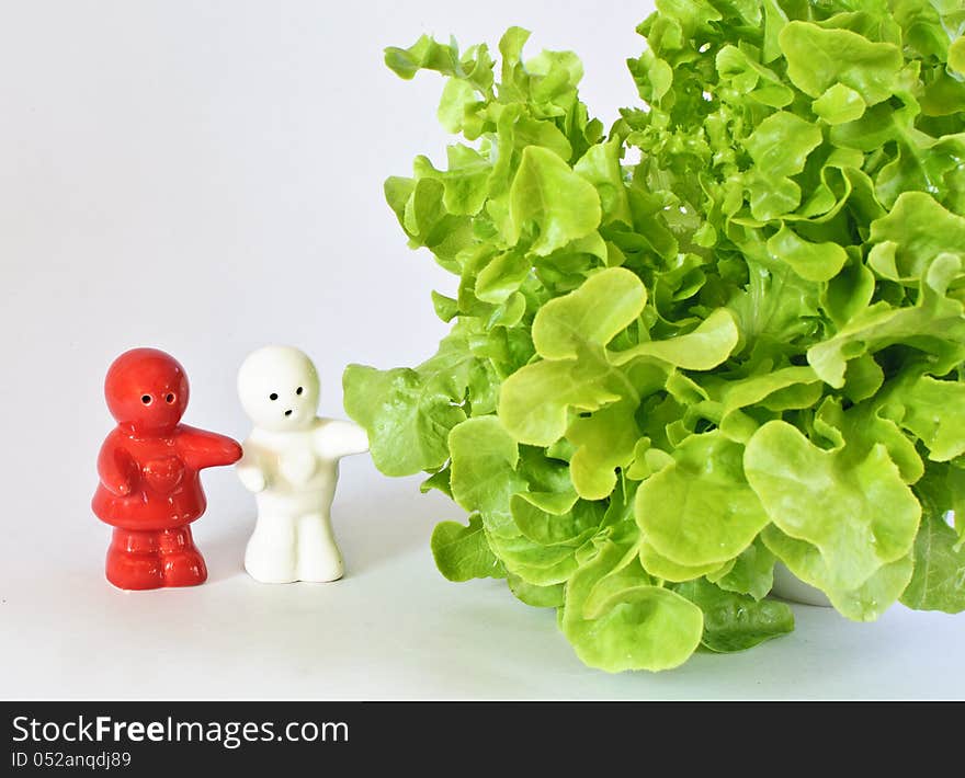 Ceramic dolls with green oak leaf lettuce  on white background