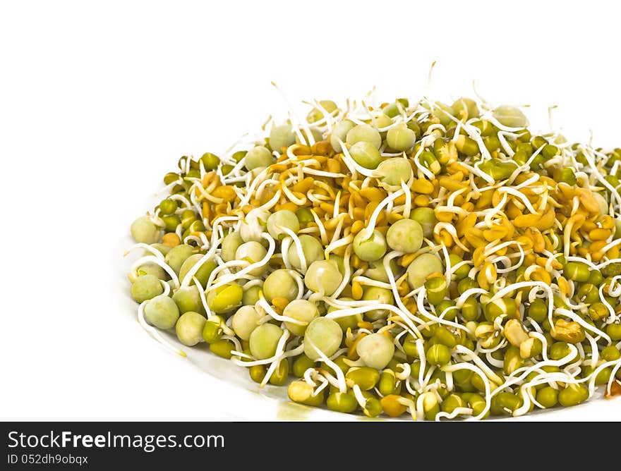 Sprouted legume seeds in a plate on white background. Sprouted legume seeds in a plate on white background.