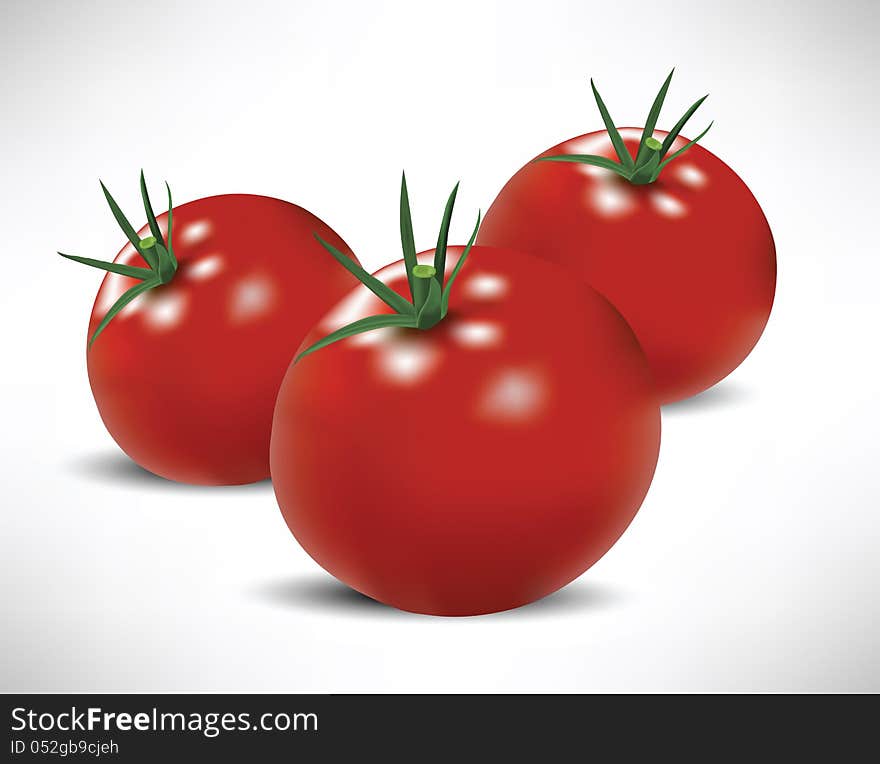 Illustration of realistic tomatoes scenery