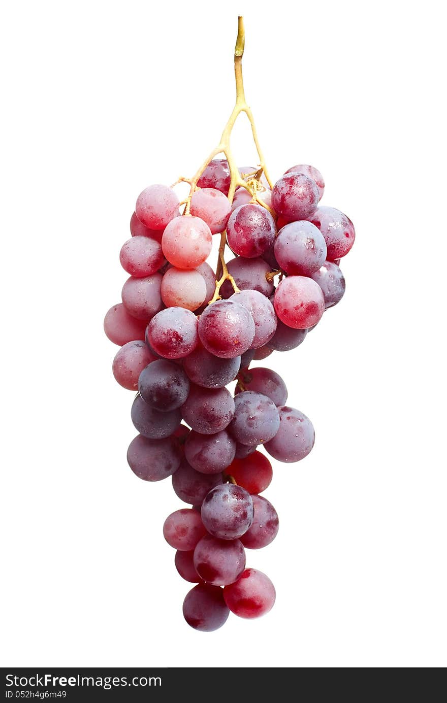 Tasty bunch of red grapes,isolated on white background. Tasty bunch of red grapes,isolated on white background