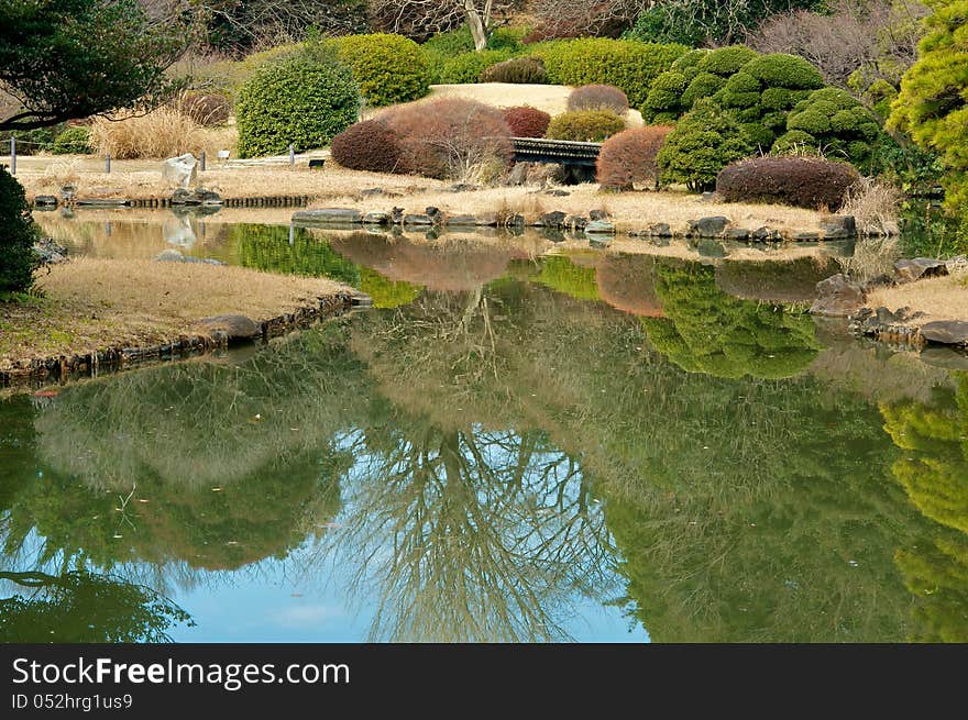 Garden In Tokyo