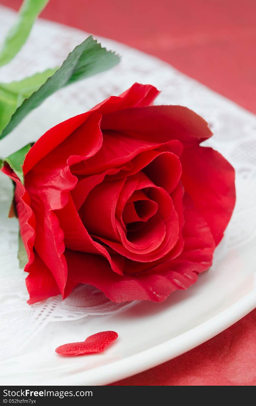 Red Rose On A White Plate, Selective Focus, Closeup