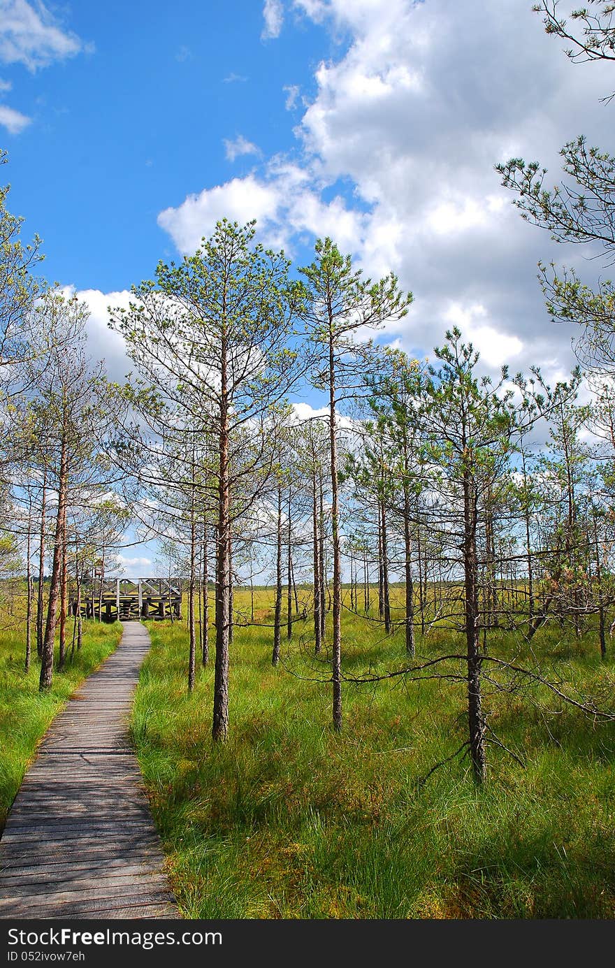 Path in a park on a sunny spring day with a small survey platform. Photo taken in Lithuania. Path in a park on a sunny spring day with a small survey platform. Photo taken in Lithuania