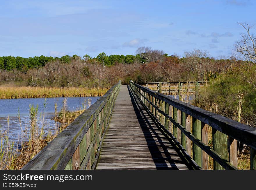 Wooden boardwalk across swamp area