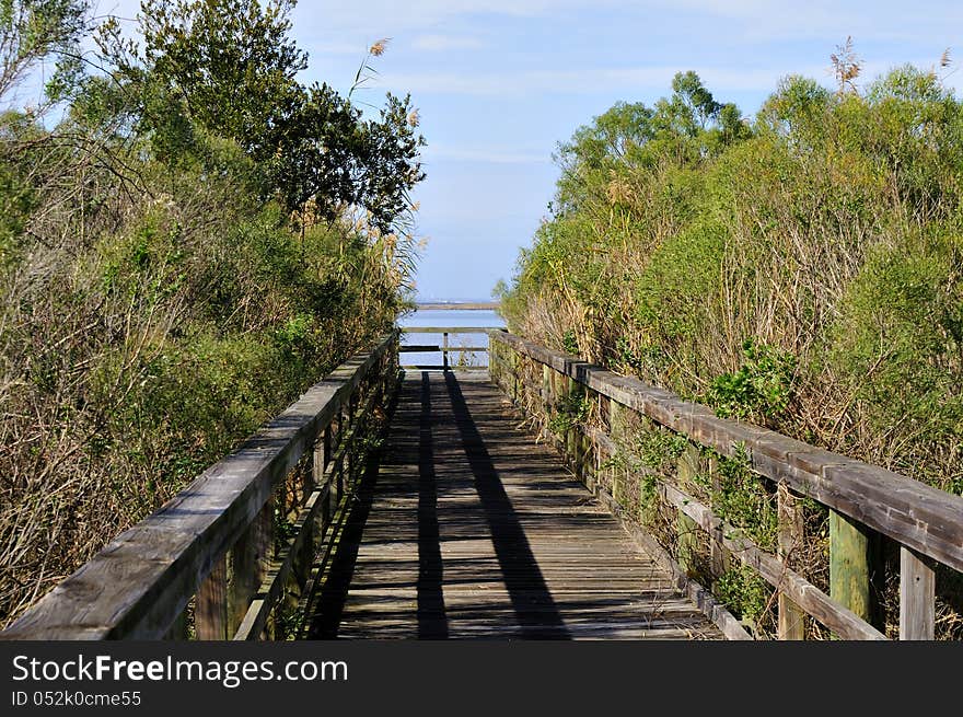 Wooden boardwalk across swamp area. Wooden boardwalk across swamp area