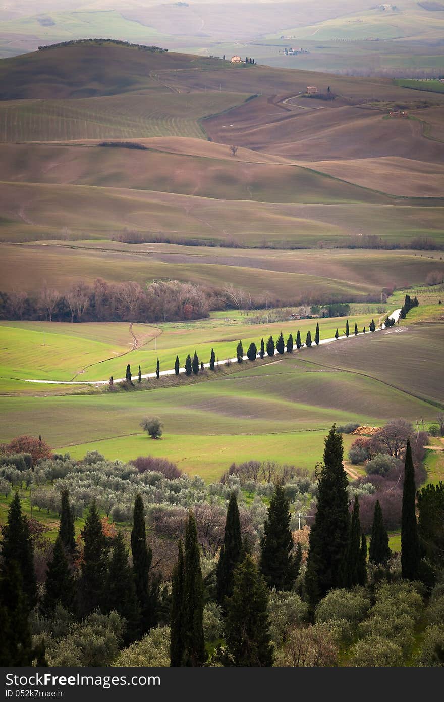 Tuscan Landscape