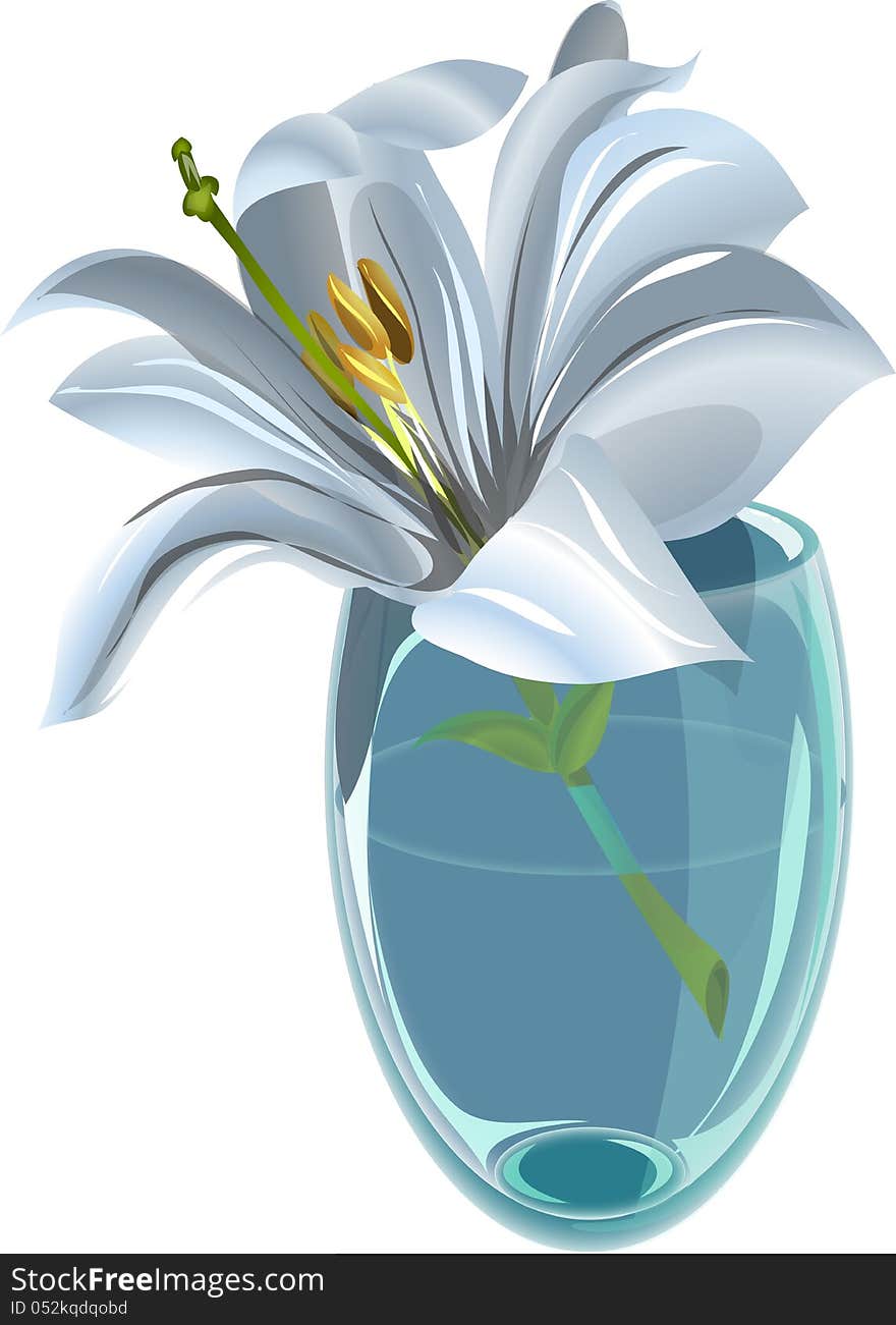 Lily in a vase as a vector illustration