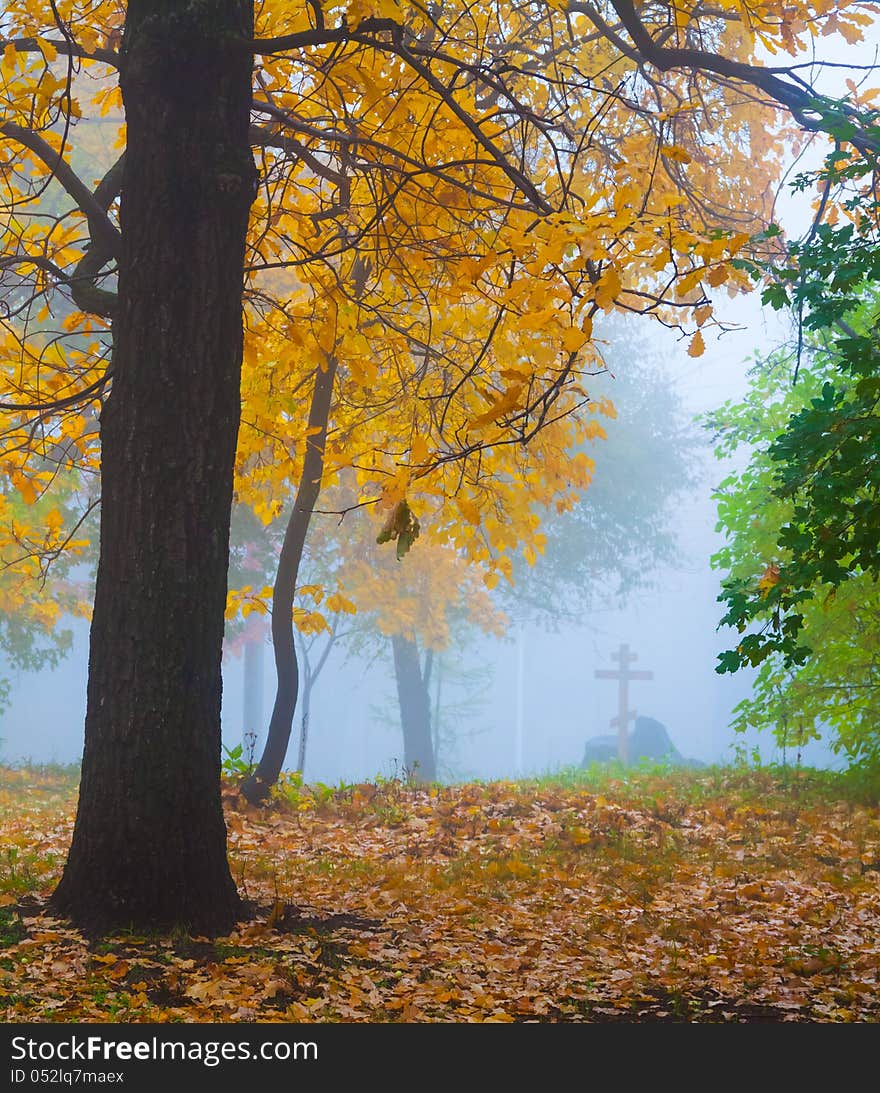 Autumn park. Trees with yellow leaves, a fog. Cross on a background. Monument.