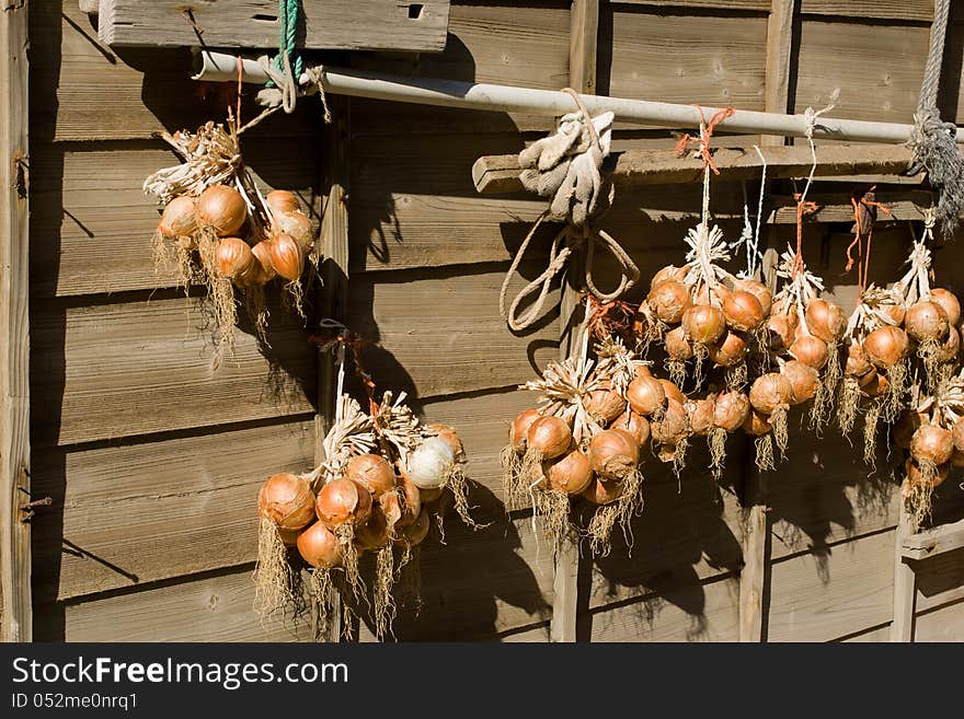 Onions in the sun hanging on a brown wooden wall