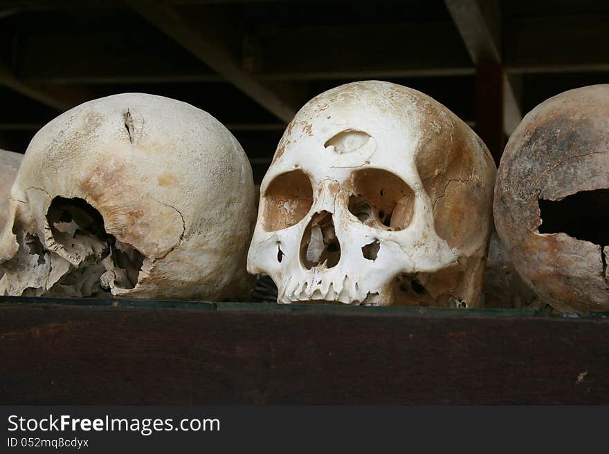 Skulls - Killing Fields, Cambodia