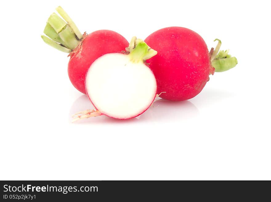 Small garden red radish on white background, food photo