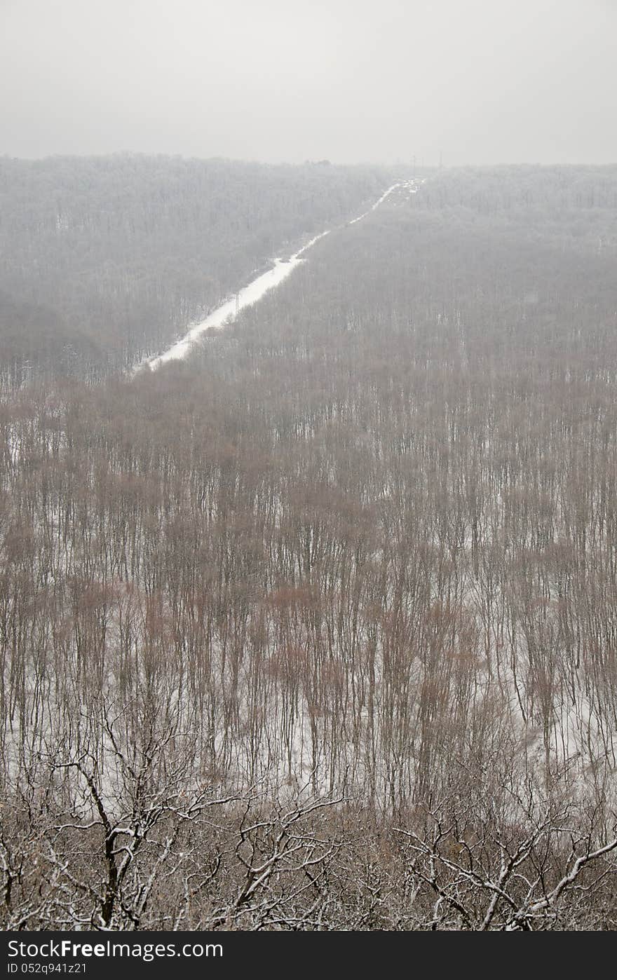 Forest at winter in Hungary.