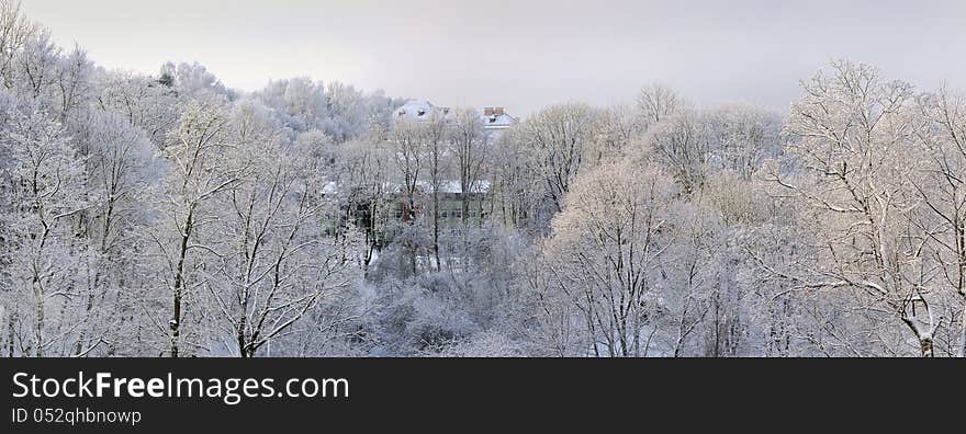 Frosty january day