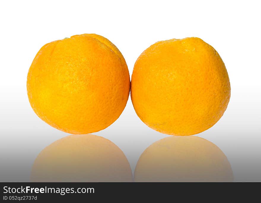 Orange   on white background