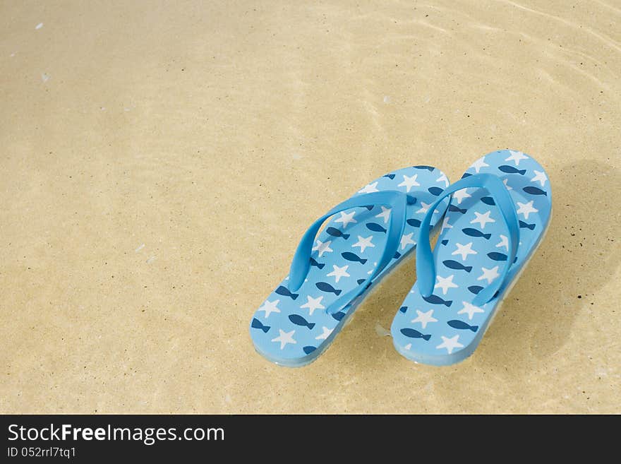 Blue fish paint flip-flop floating in the sea