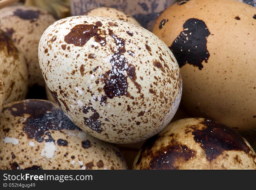 Background of Perfect Quail Eggs closeup