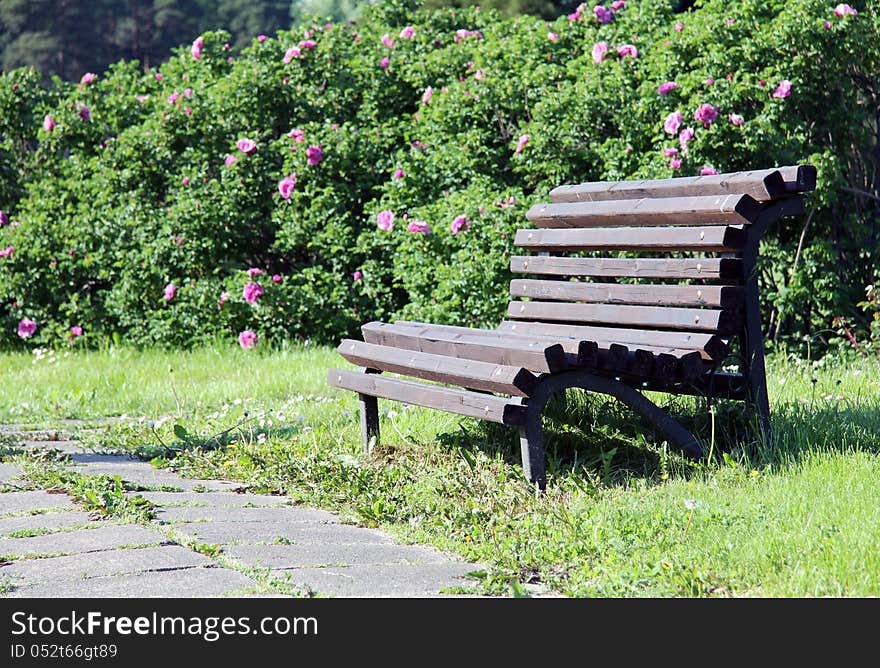 Valentine's Day bench surrounded by flowers in the park. Valentine's Day bench surrounded by flowers in the park