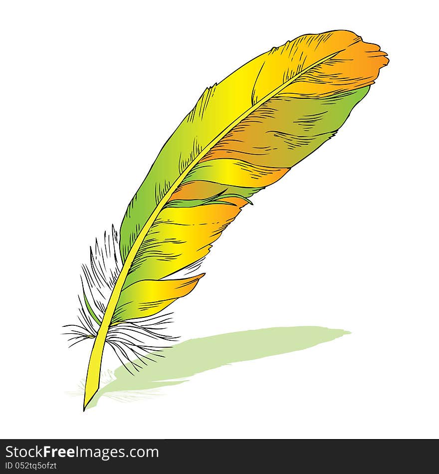 Writing feather with shadow- elegant yellow feather on simple white background