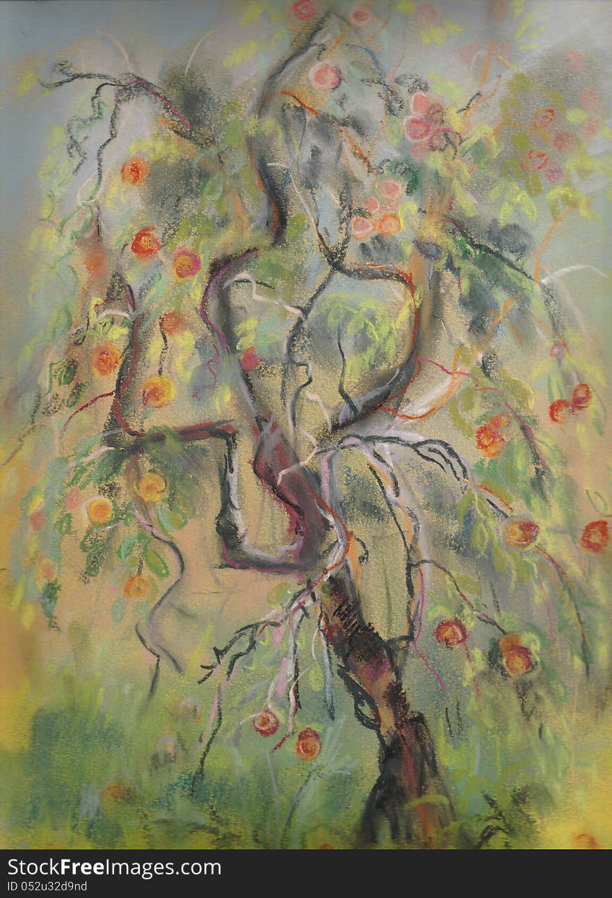 Old apple-tree