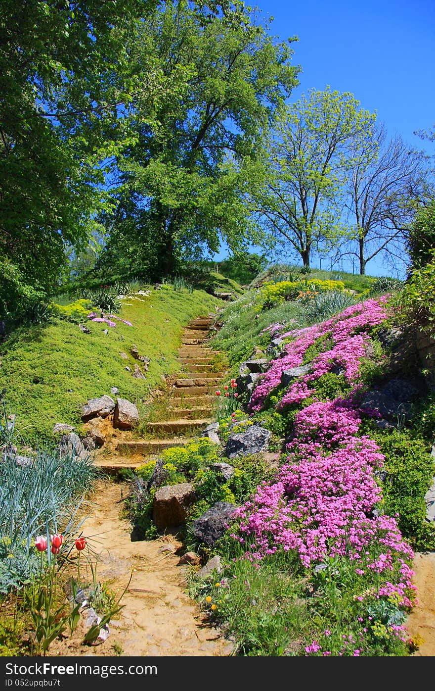 Paths through the park in sunshine summer day